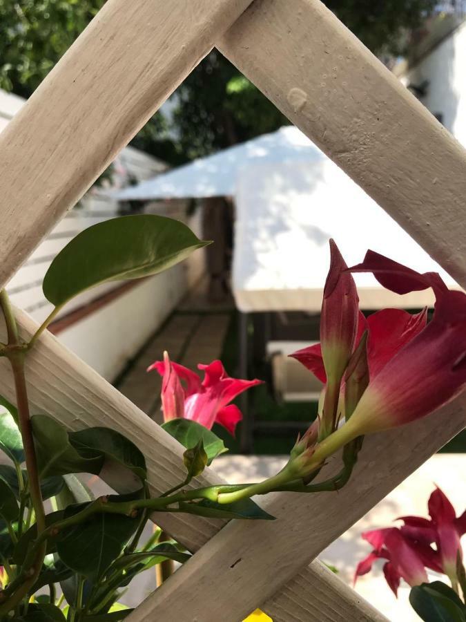 Virgilio'S Garden Bed and Breakfast Castellammare di Stabia Exteriör bild